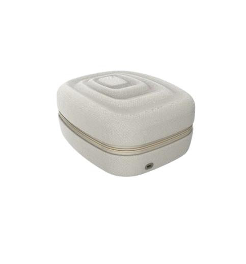 Artemis Sterilizer Case