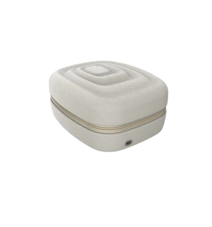 Artemis Sterilizer Case
